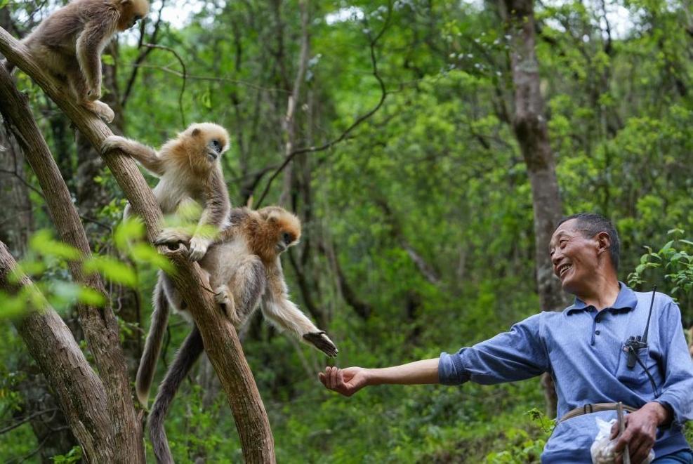 首次立法！國家公園筑起“法治屏障”